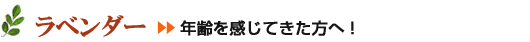 ラベンダー